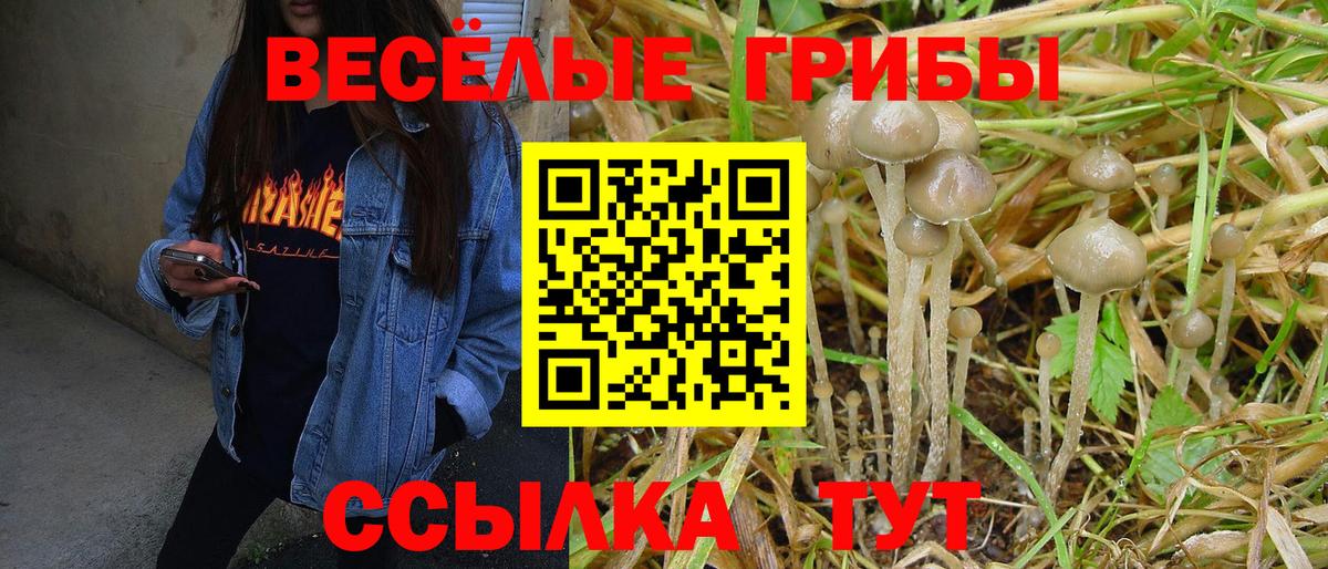 где продают наркотики  Вход с VPN  Ступино  Галлюциногенные грибы Cubensis 