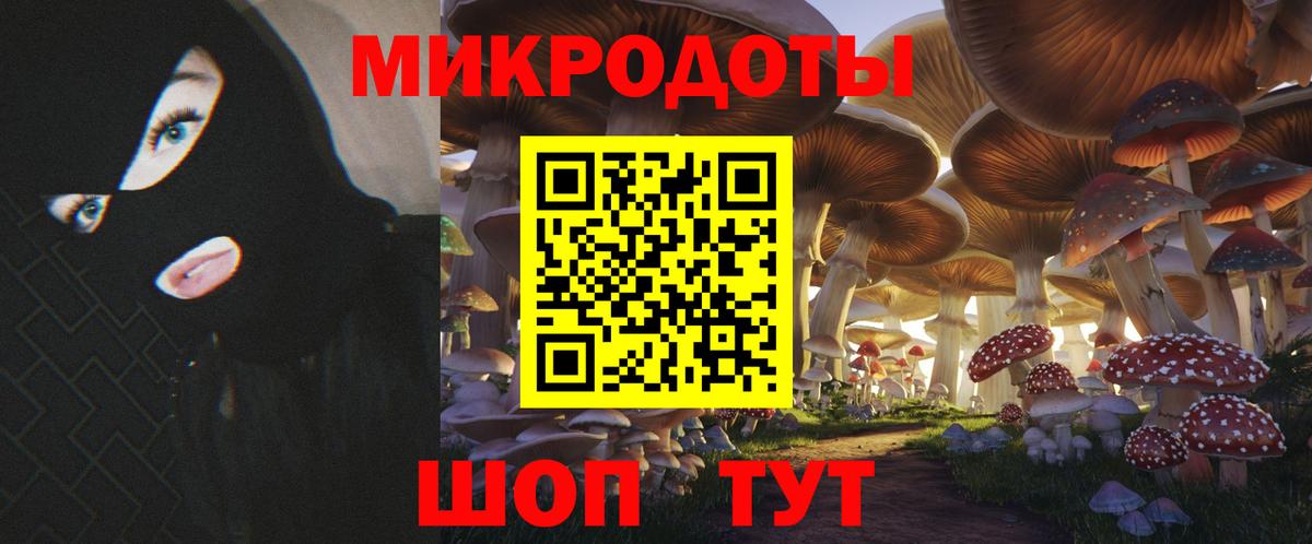 Псилоцибиновые грибы мицелий Ступино